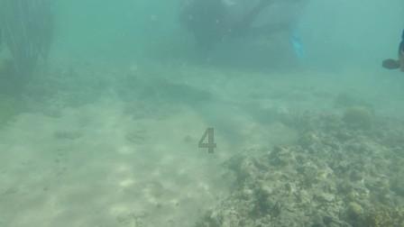 河北迁安：打造“钢铁氢城”蓄发新动能